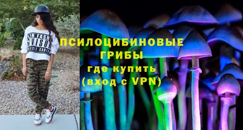 где продают   Муравленко  Псилоцибиновые грибы Cubensis 